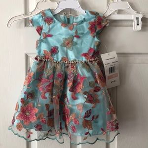 NWT Rare editions dress size 2t